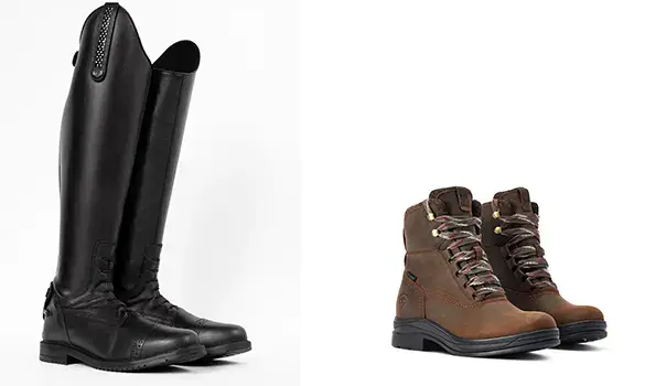 Bis zu 20 % einer Reduzierung von Stiefeln und Reitschuhen aus 80ChF -Kauf mit diesem Horze -Promo -Code