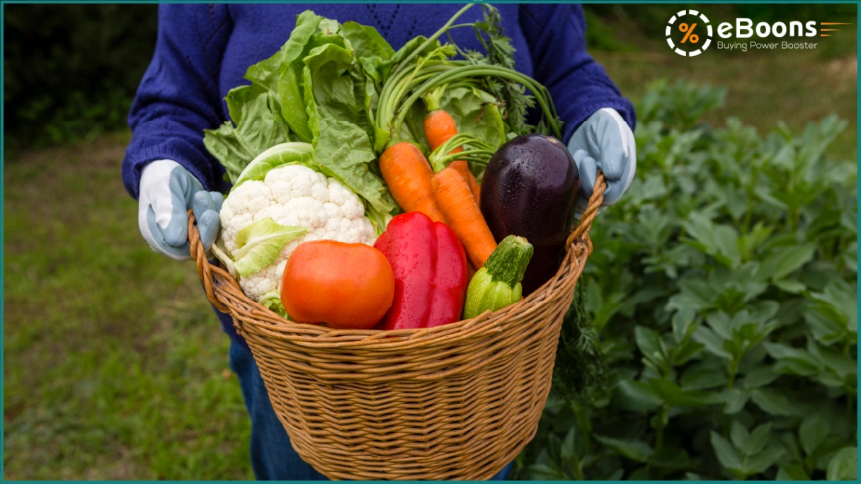 Alimentation Durable et Responsable : Les Produits Locaux en Dropshipping