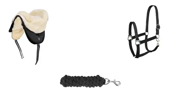 Jusqu'à 15% de réduction sur les équipements pour chevaux et accessoires Horze et B Vertigo dès 120CHF d'achat avec ce code promo Horze