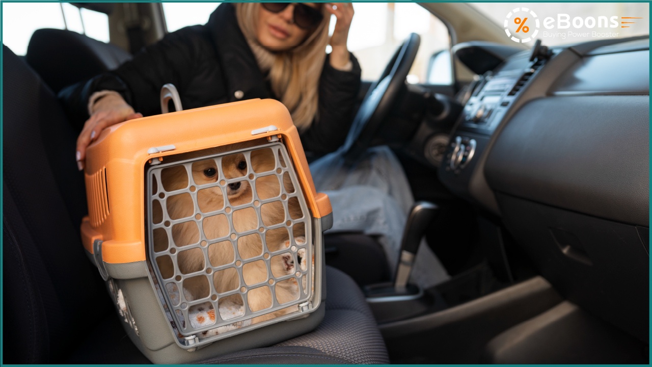 Accessoires de voyage pour animaux : Tendance croissante et accessoires utiles